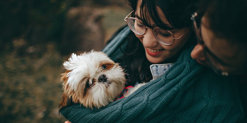 Kid playing with dog